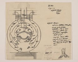 Ein Sommernachtstraum