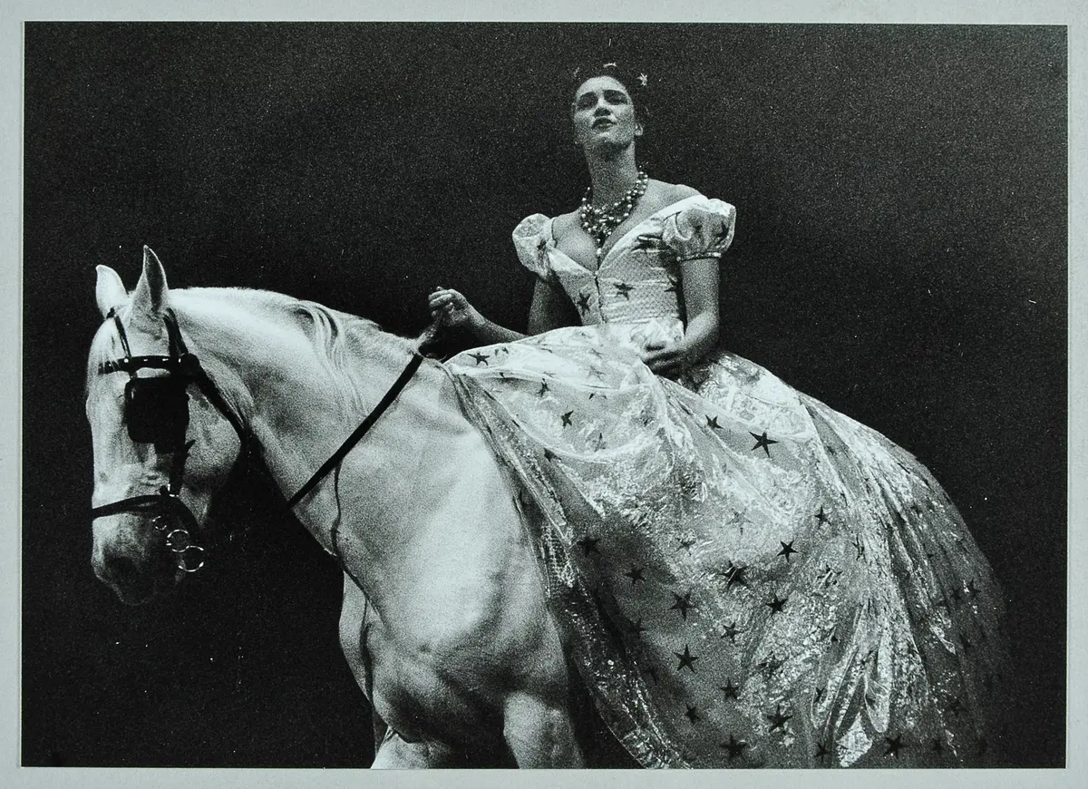 Regina Stötzel, Verweis auf Stücktitel: Wiener Blut