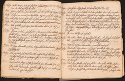 Die Schreckensnacht am Kreuzwege oder: Der Freyschütze