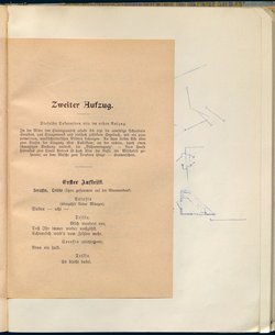 Der Seeräuber