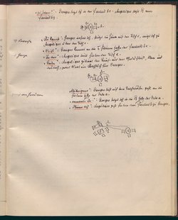Das schwache Geschlecht