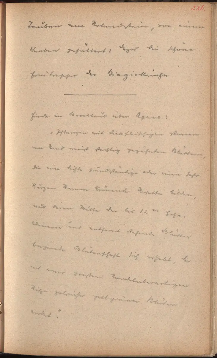 Aufzeichnung