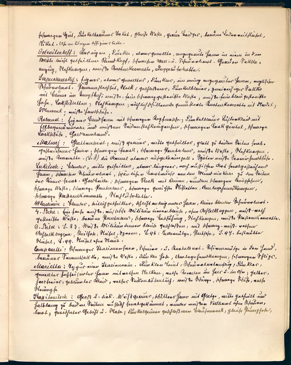 Anna Karenina