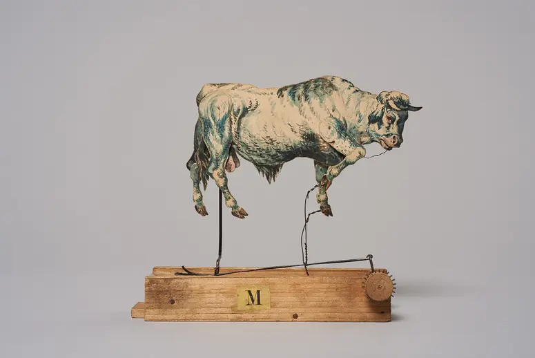 Stier
