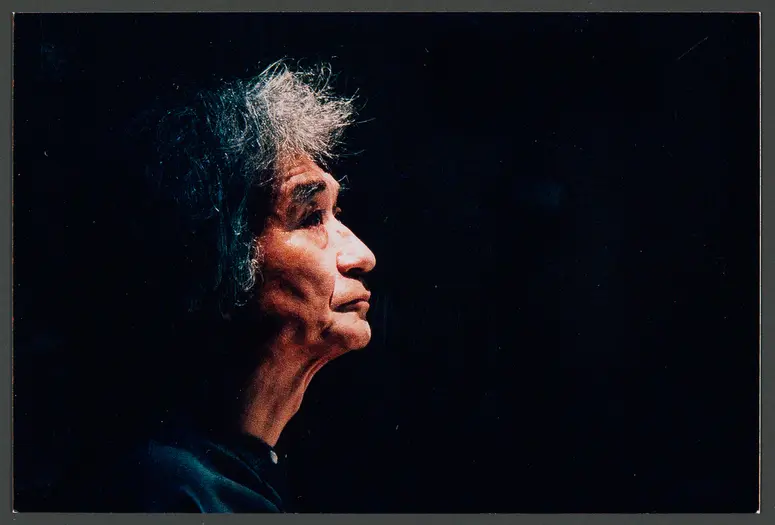 Seiji Ozawa, Verweis auf Stücktitel: Der fliegende Holländer
