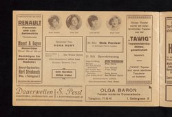 Wien lacht wieder, Die Revue der Stars