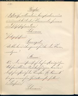 Stein unter Steinen. Schauspiel in vier Akten