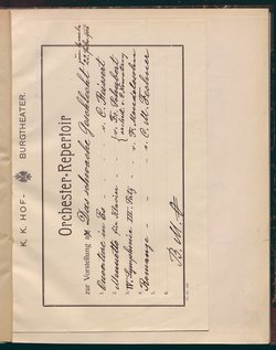 Das schwache Geschlecht