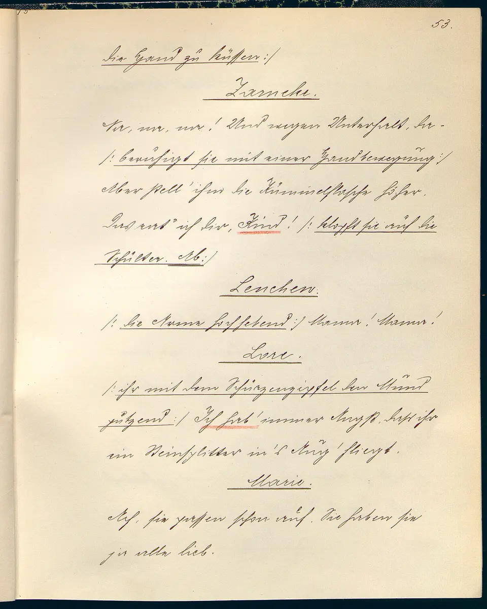 Stein unter Steinen. Schauspiel in vier Akten