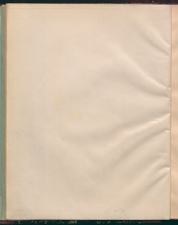 Das schwache Geschlecht