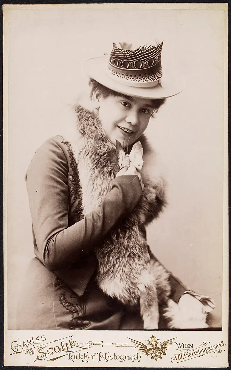 Mizzi Palme