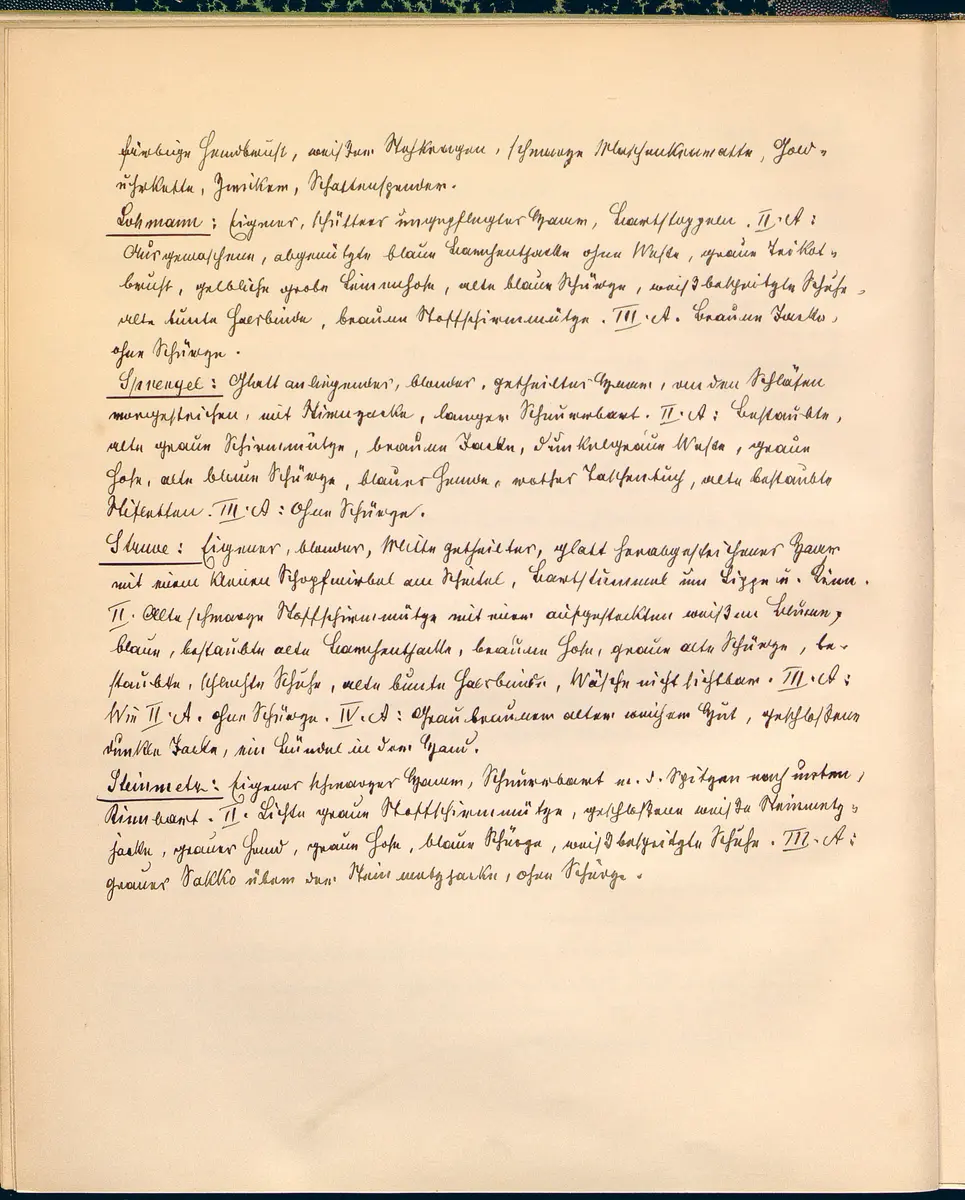 Stein unter Steinen. Schauspiel in vier Akten