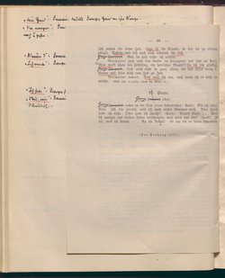 Das schwache Geschlecht
