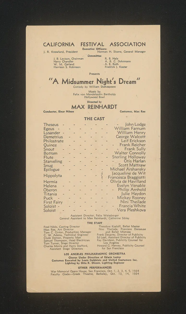 Ein Sommernachtstraum (A Midsummer Night's Dream)