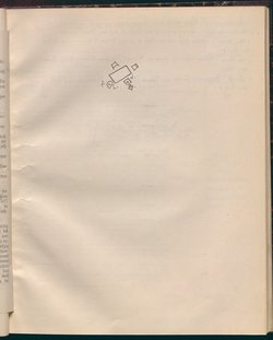 Das schwache Geschlecht