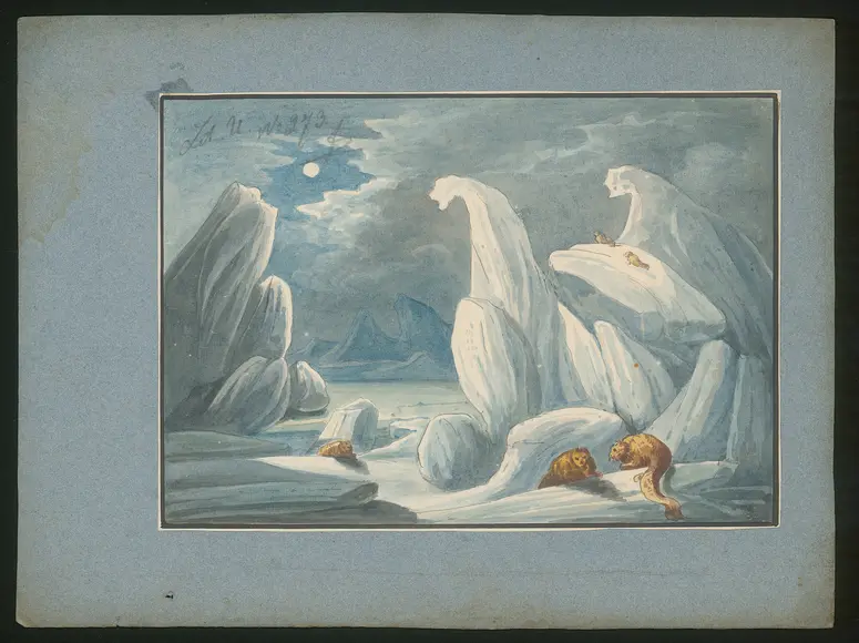 Die nach Norden reisende, und auf eine Insel durch Sturm verschlagene Schauspielergesellschaft, Inventartitel: 