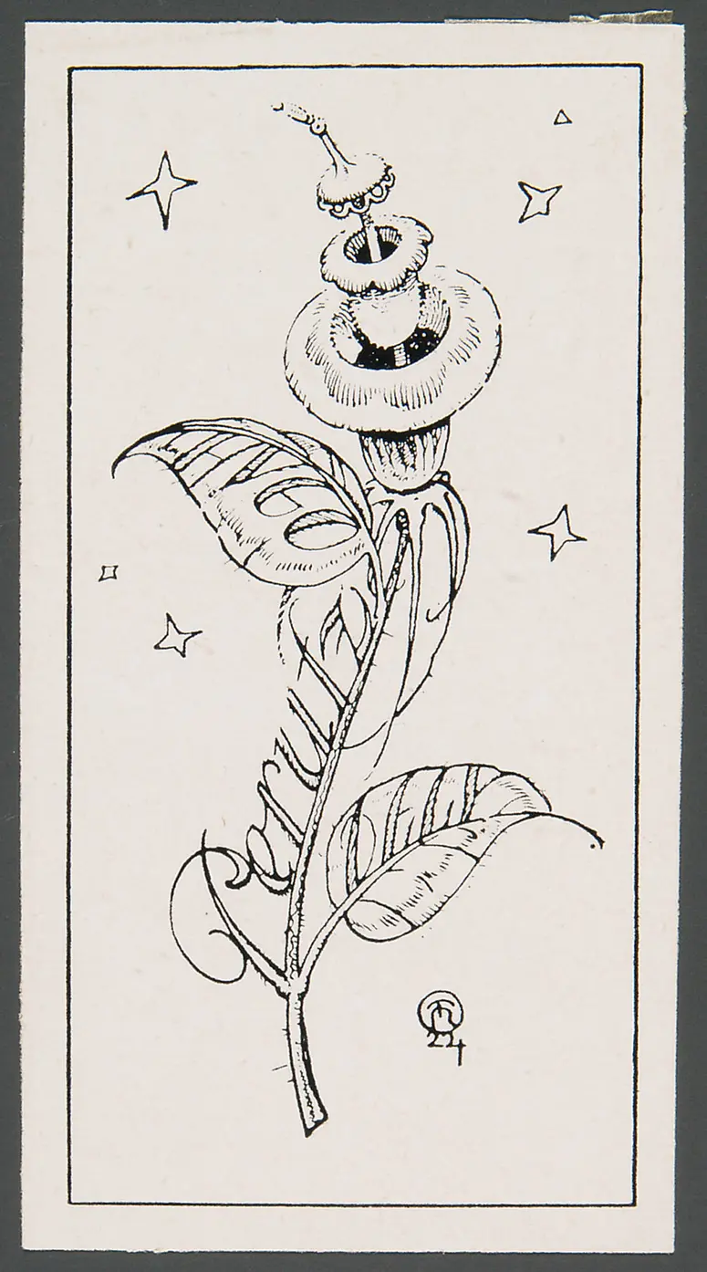 Exlibris Hugo Perutz und Adele Perutz, Titel in Vorlageform: Exlibris Hugo und Dely Perutz