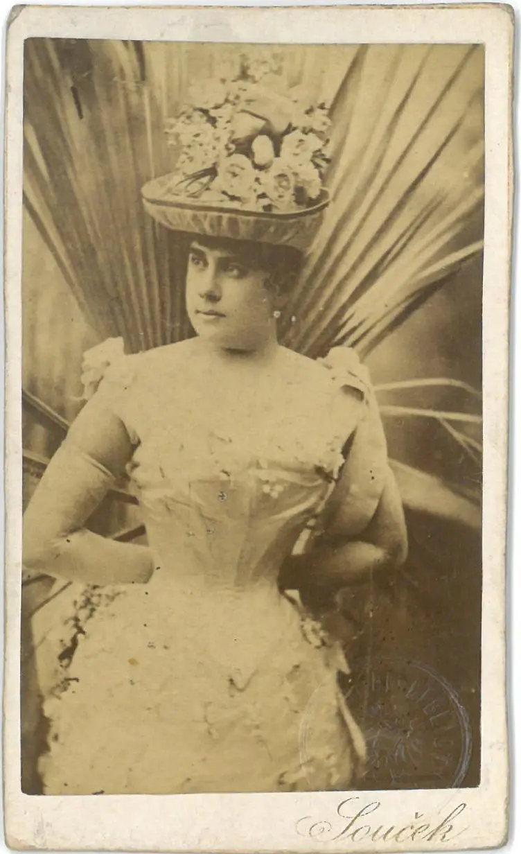 Ottilie Collin, Verweis auf Stücktitel: Wienerstadt in Wort und Bild