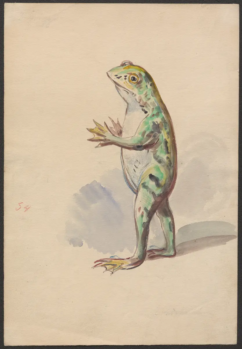 Naila, die Quellenfee