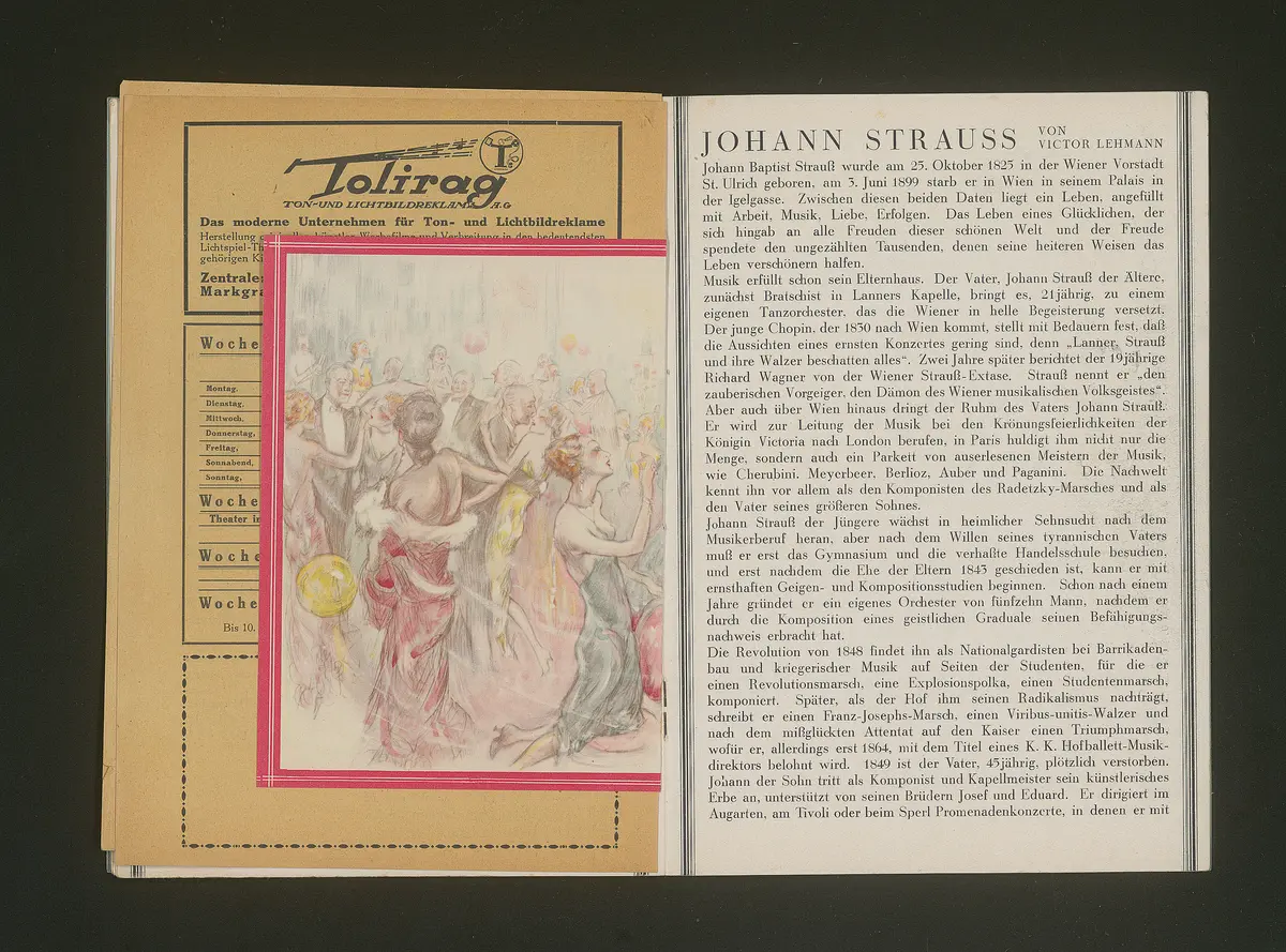 Die Fledermaus