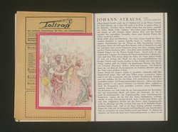 Die Fledermaus
