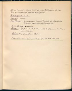 Stein unter Steinen. Schauspiel in vier Akten