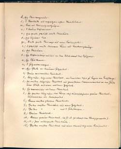 Stein unter Steinen. Schauspiel in vier Akten