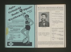 Die Fledermaus