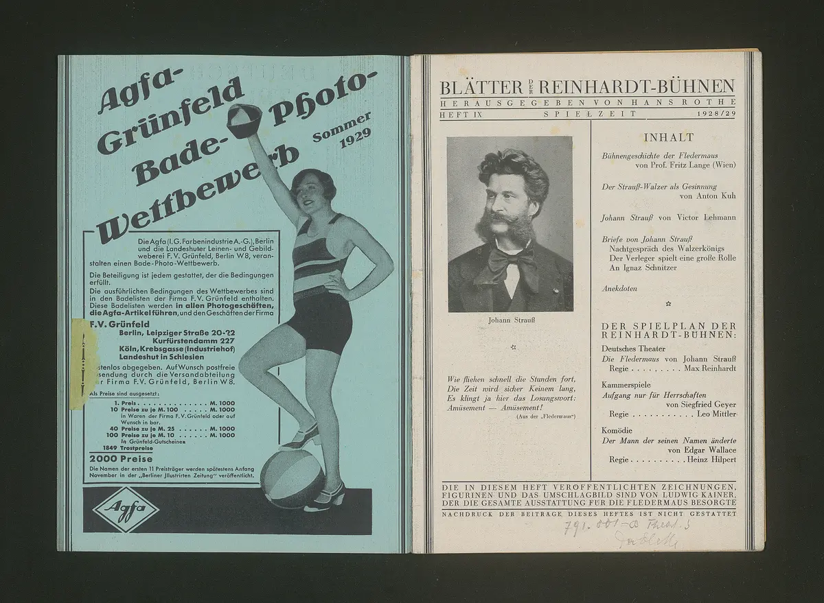 Die Fledermaus