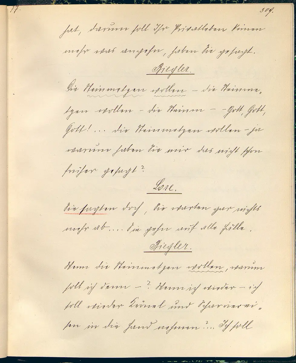 Stein unter Steinen. Schauspiel in vier Akten