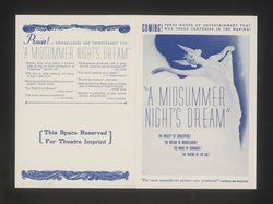 Ein Sommernachtstraum (A Midsummer Night's Dream)