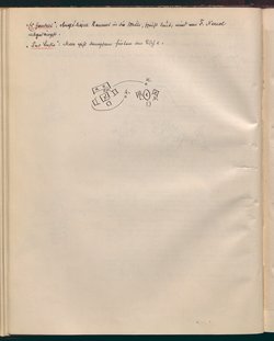 Das schwache Geschlecht
