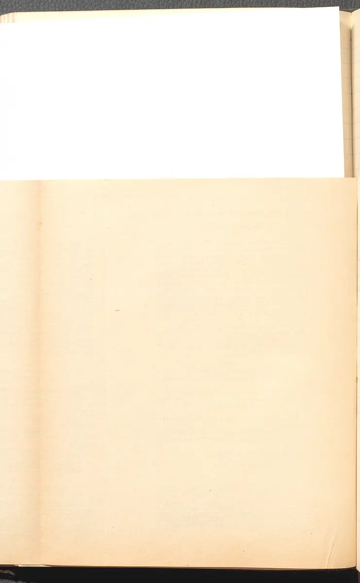 Protokolle der Ausschusssitzungen des Vereines des Deutschen Volkstheaters in Wien