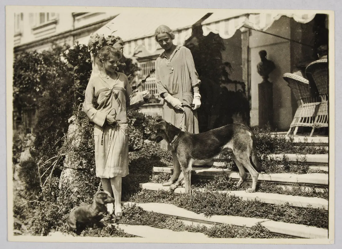 Pinchot, Rosamond