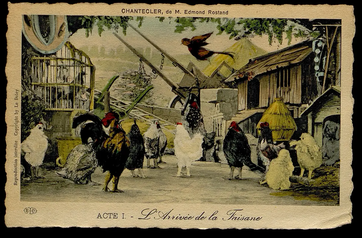 Chantecler