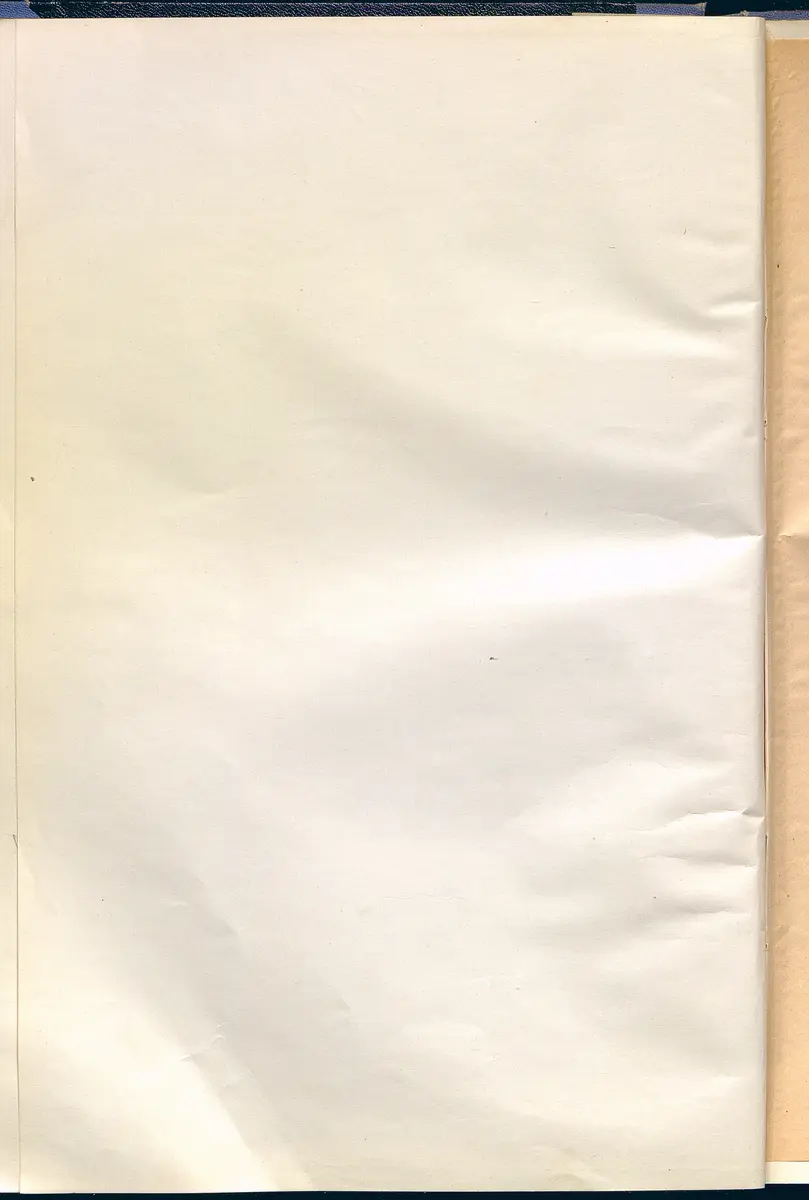 Das Paar nach der Mode