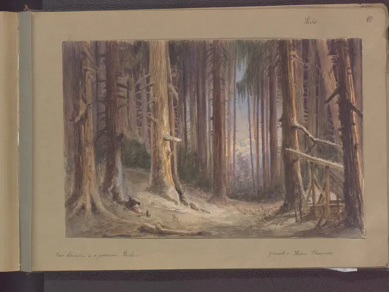 Das Mädchen aus dem goldenen Westen, Originaltitel: La fanciulla del West