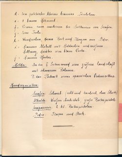 Der Seeräuber