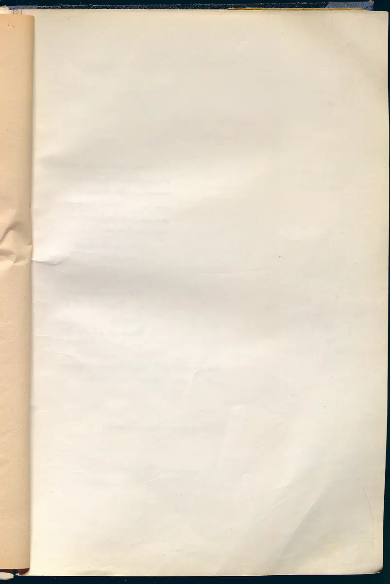 Das Paar nach der Mode