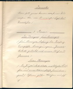 Stein unter Steinen. Schauspiel in vier Akten