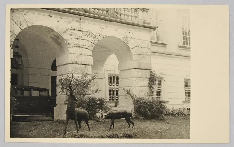 Bau: Salzburg, Schloß Leopoldskron