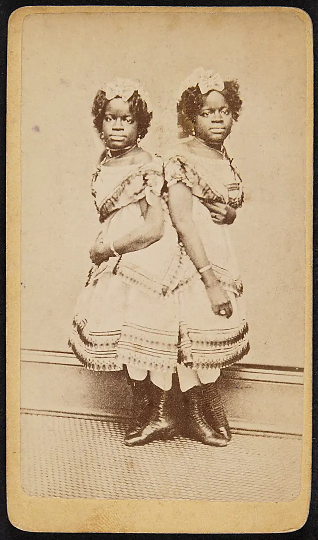 Die zweiköpfige Nachtigall