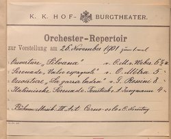 Die Zwillingsschwester.