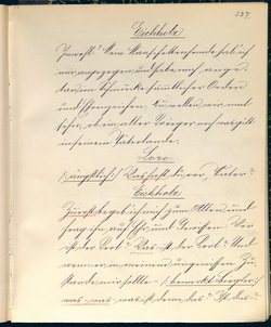 Stein unter Steinen. Schauspiel in vier Akten