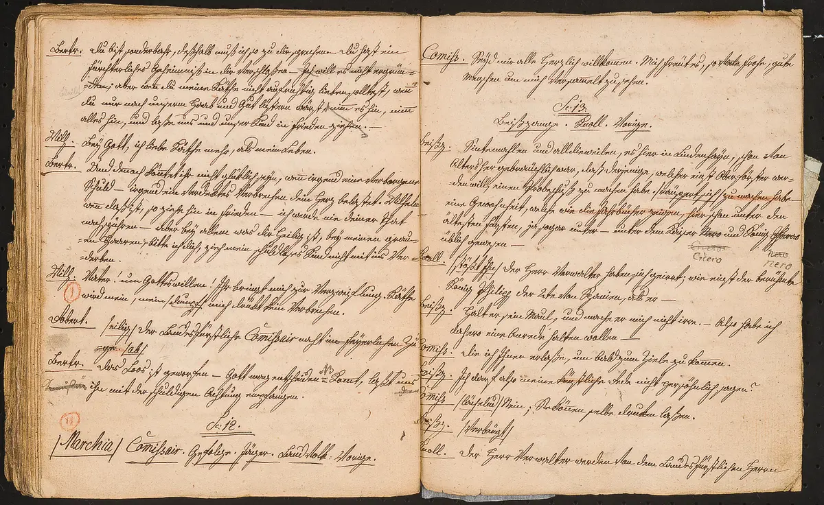 Die Schreckensnacht am Kreuzwege oder: Der Freyschütze