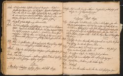 Die Schreckensnacht am Kreuzwege oder: Der Freyschütze