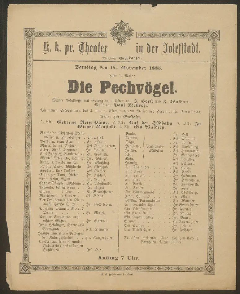 Die Pechvögel