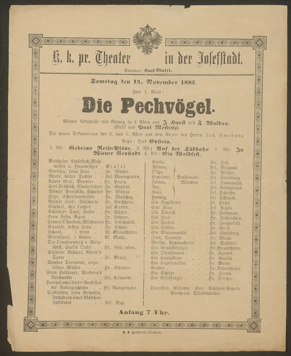 Die Pechvögel