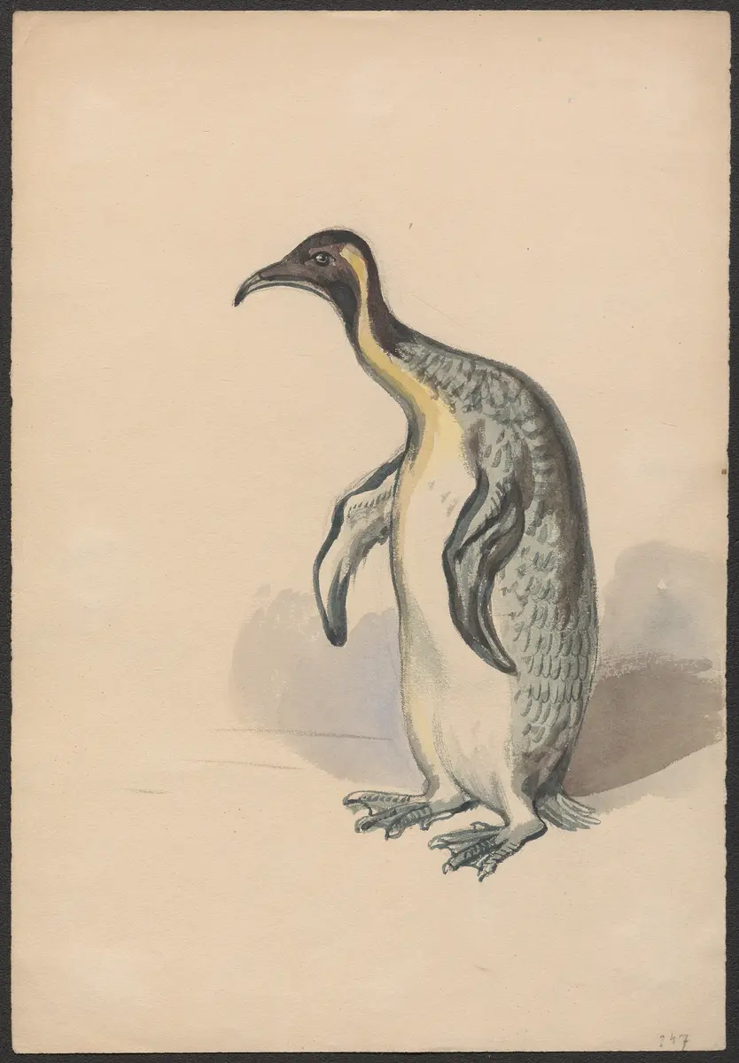 Naila, die Quellenfee